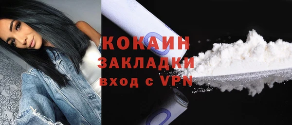 шишки Арсеньев