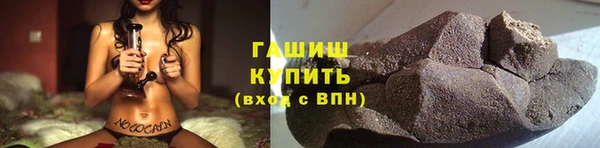 шишки Арсеньев