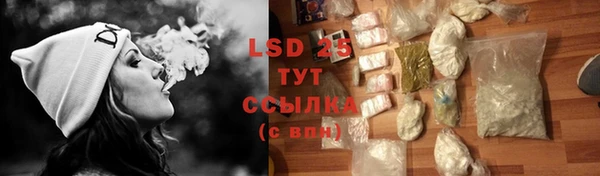 прущие крисы Аркадак