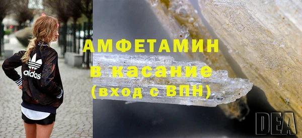 шишки Арсеньев